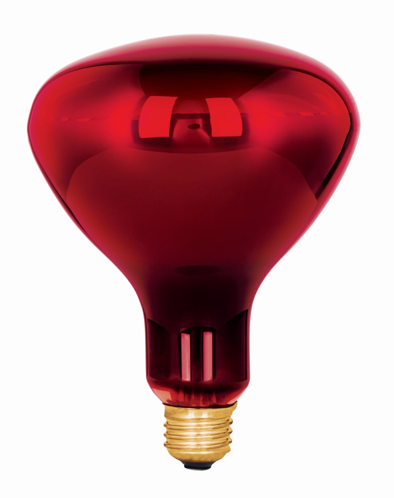 LAMPARA 250W T/REFLECTOR INFRAROJO TERAP