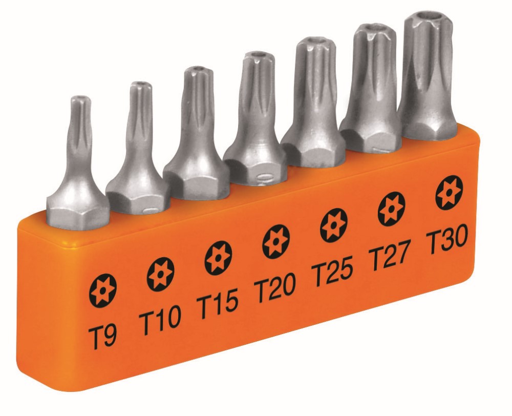 PUNTAS TORX 1