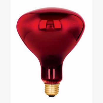 LAMPARA 250W T/REFLECTOR INFRAROJO TERAP